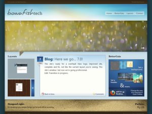 bowafishtech.webs.com