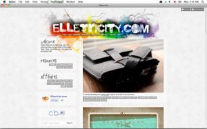 elletricity.com