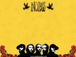 INCUBUS [yellow] - Wallpapers