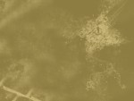 Browns..