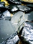 Wet Slate
