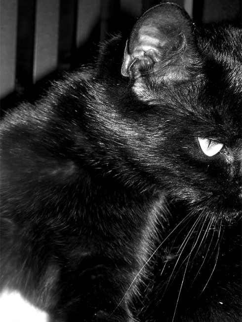 Click to view original image