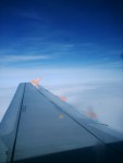 Wing