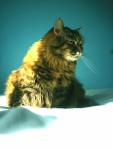 Katie On Bed