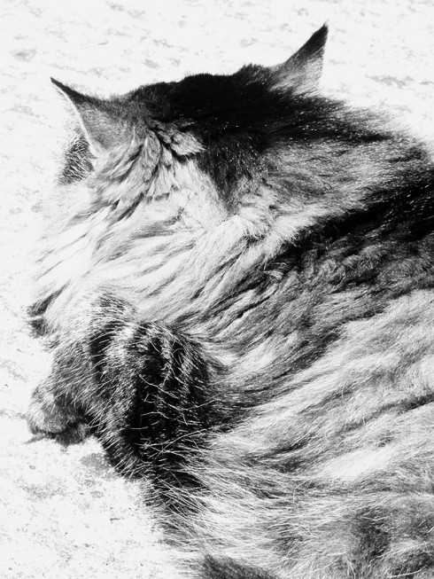 Click to view original image