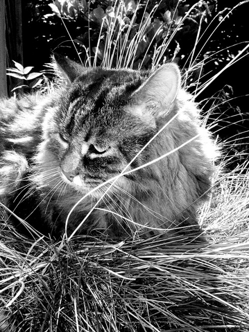 Click to view original image