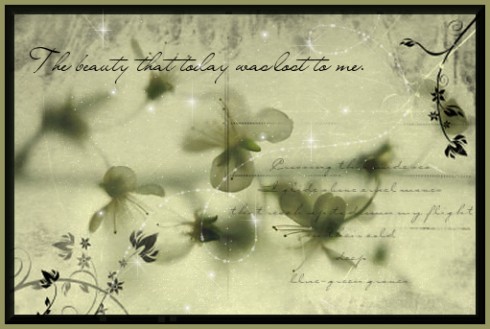 Click to view original image