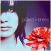 Pastic Trees