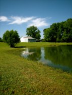 lake, well, pond side.