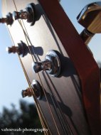 Play A Tune