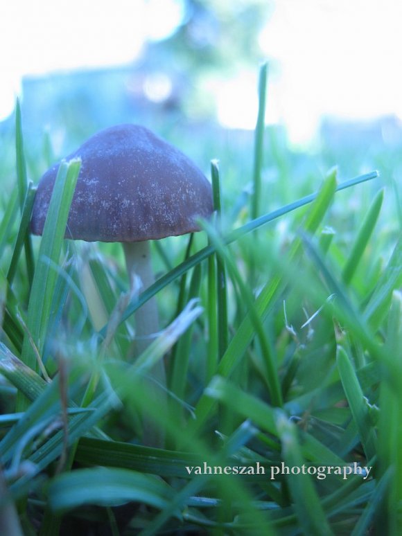 Click to view original image