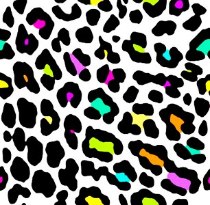 Wallpaper  Computer on Colorful Cheetah   Backgrounds   Createblog