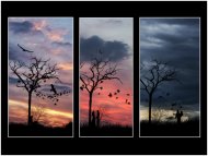 Waiting..