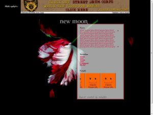 New Moon (Book)