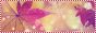 icon1
