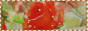icon1