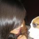 puppies :) Old.