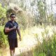 The Woods