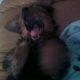 RAWR TAKE 2  I LOVE HER