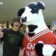 Cow.jpg