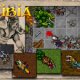 what_is_tibia_intro.jpg
