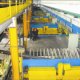 Plant 1.jpg