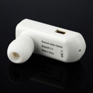 mea-1180-4.jpg