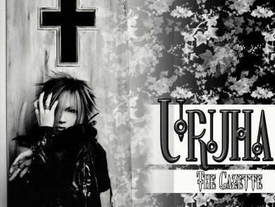 Click to view original image