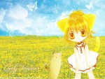 Lovely Summer