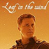 A Leaf in the wind.