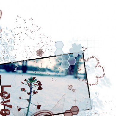 Click to view original image