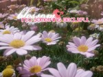 Blossom Into something Beautiful