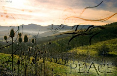 Click to view original image