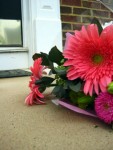 flower on the doorstep