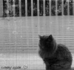 raining again...