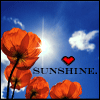 Flowers/Sunshine