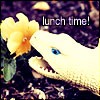 Lunch time!