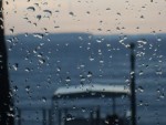after the rain