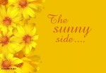 Sunny