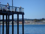 Under The Wharf