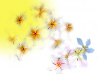 Click to view original image