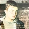 Lovely Harry