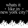 Whats It Like In New York City?