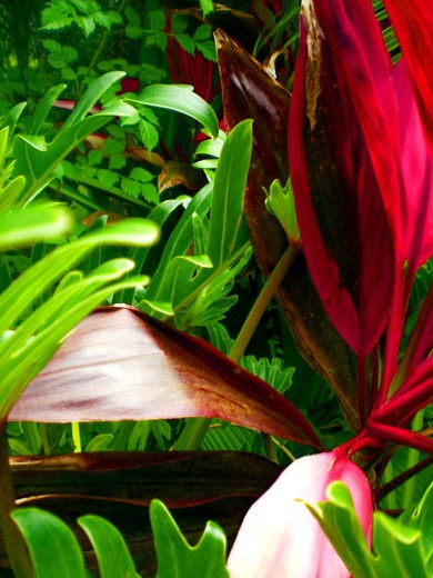 Click to view original image