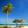 Paradise