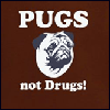 Pugs not drugs