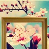framed flower