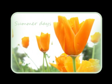Click to view original image