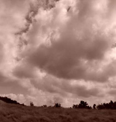 Click to view original image