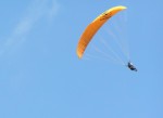 Paraglider